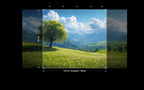 LUZ DEL BOSQUE - 0532S